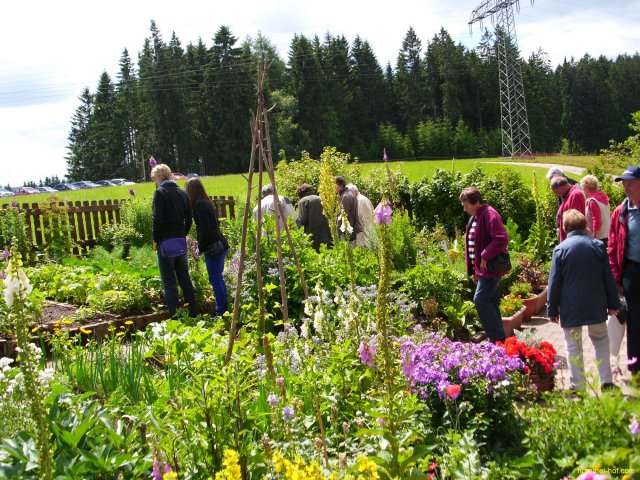 Gartenbesichtigung